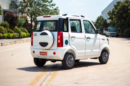 Haibao Ruiqi RHD & LHD Electric Vehicle New Energy Hatchback EV Car