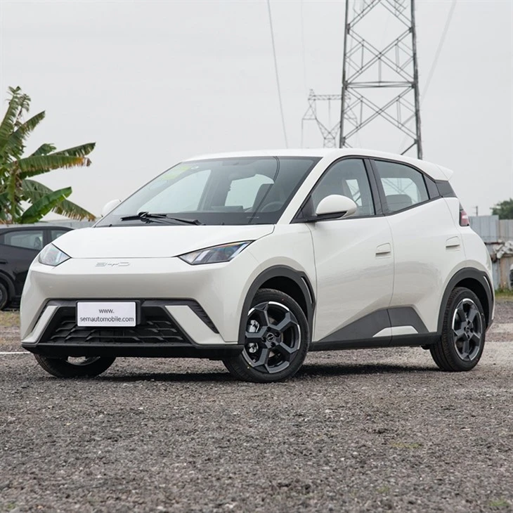 2024 BYD Seagull Mini Ev