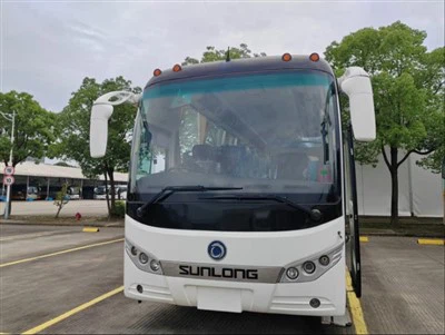 RHD Travel Coach Bus